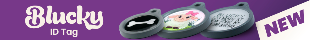 Blucky banner ct_en