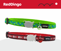 Red Dingo Collar para gatos