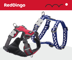 Red Dingo dog harness
