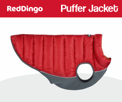 Red Dingo Puffer Jacket
