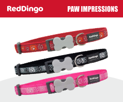 Red Dingo Paw Impressions
