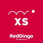 Red Dingo Dog Collar XSmall
