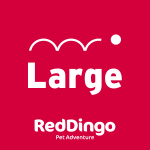 Red Dingo Correa para perros large