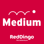 Red Dingo dog leash medium