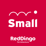 Red Dingo dog leash small