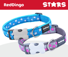 Red Dingo Stars