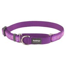 Red Dingo Butterfly Purple Large Martingale Collar