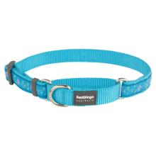 Red Dingo Butterfly Turquoise Large Martingale Collar