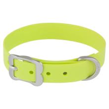 Red Dingo Vivid Lime XS Dog Collar / 8-10 in