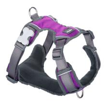 Red Dingo Padded dog harness XS Purple