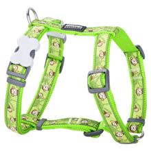 Red Dingo Monkey Lime Small Dog Harness