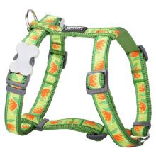 Red Dingo Tropical Green Small Dog Harness