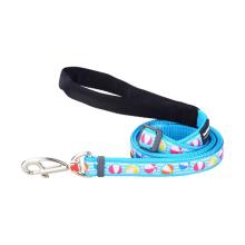 Red Dingo Beach Ball Turquoise dog lead 4-6 ft Small