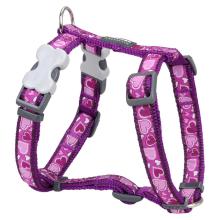 Red Dingo Breezy Love Purple Medium Dog Harness
