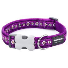 Red Dingo Daisy Chain purple XS Dog Collar