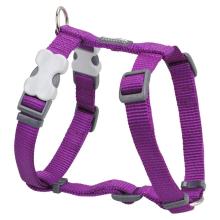 Red Dingo Purple Small Dog Harness
