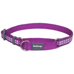 Red Dingo Reflective Purple Medium Martingale Collar